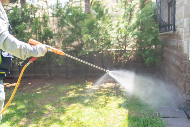 Best Pest Prevention Services  in Danvers, IL